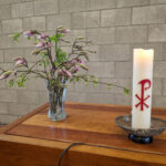 Predikant voor Protestantse Kerk Brussel